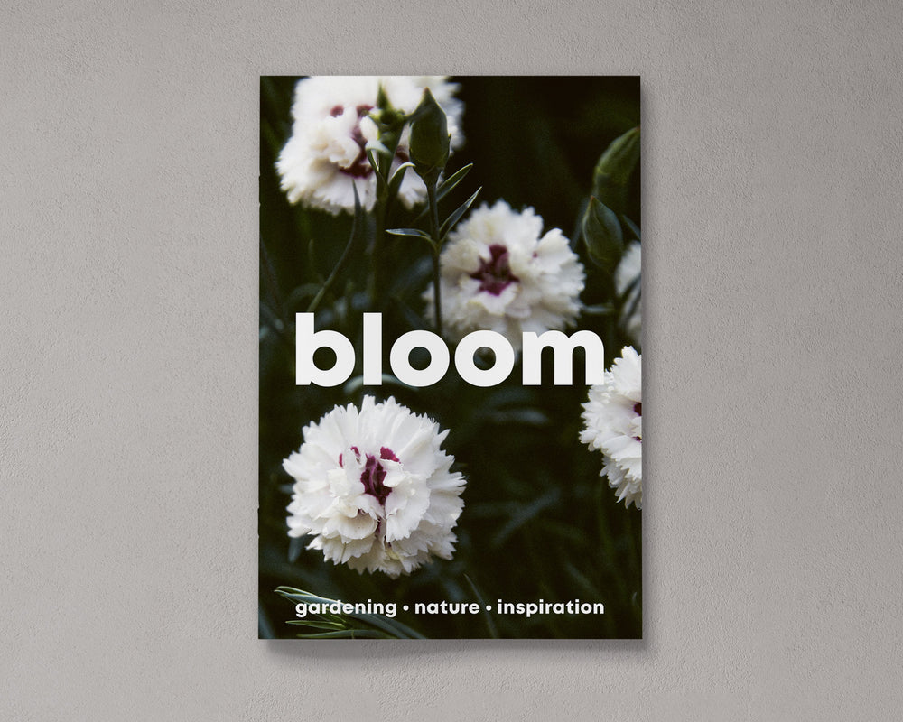 Bloom Issue 14 – Spring/Summer 2023 Magazine