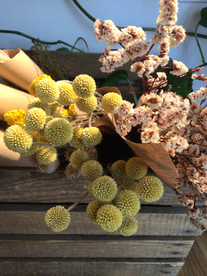 Dried flowers -  yellow billy buttons